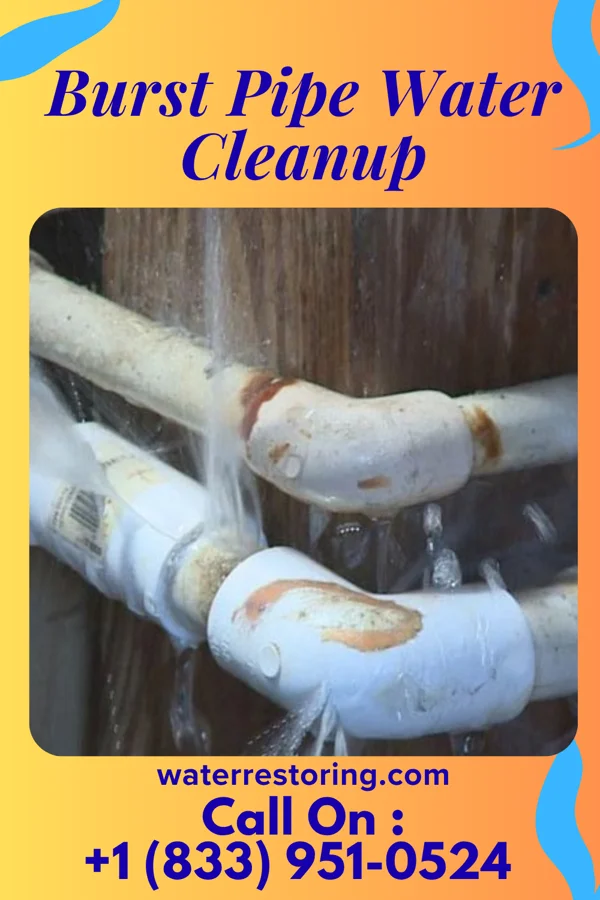 Burst Pipe Water Cleanup in Elberfeld, IN