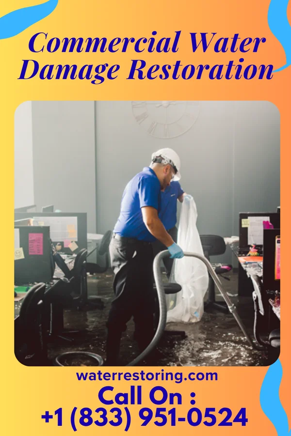 Commercial Water Damage Restoration in Elberfeld, IN