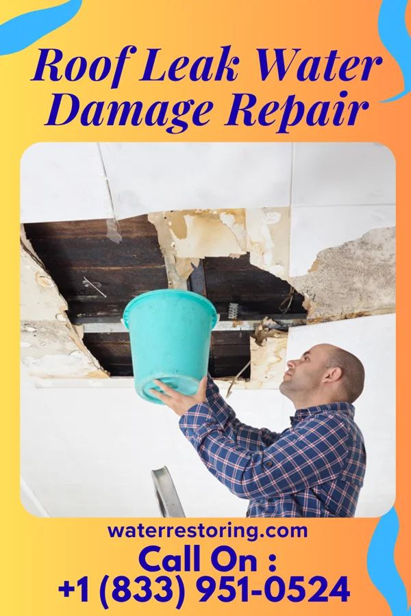 Roof Leak Water Damage Repair in Elberfeld, IN