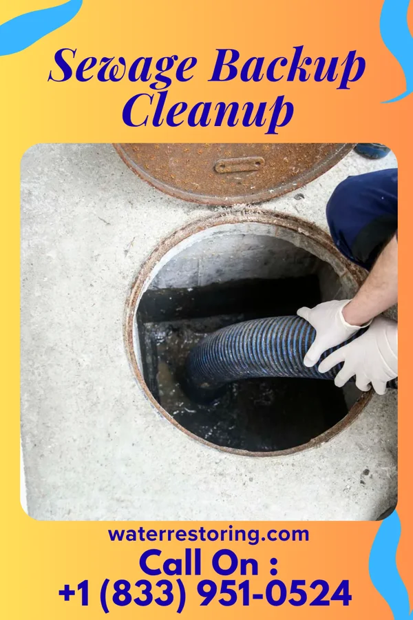 Sewage Backup Cleanup in Elberfeld, IN